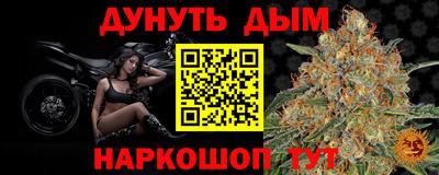 крисы Гусев