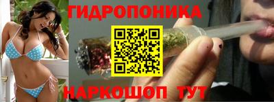 крисы Гусев