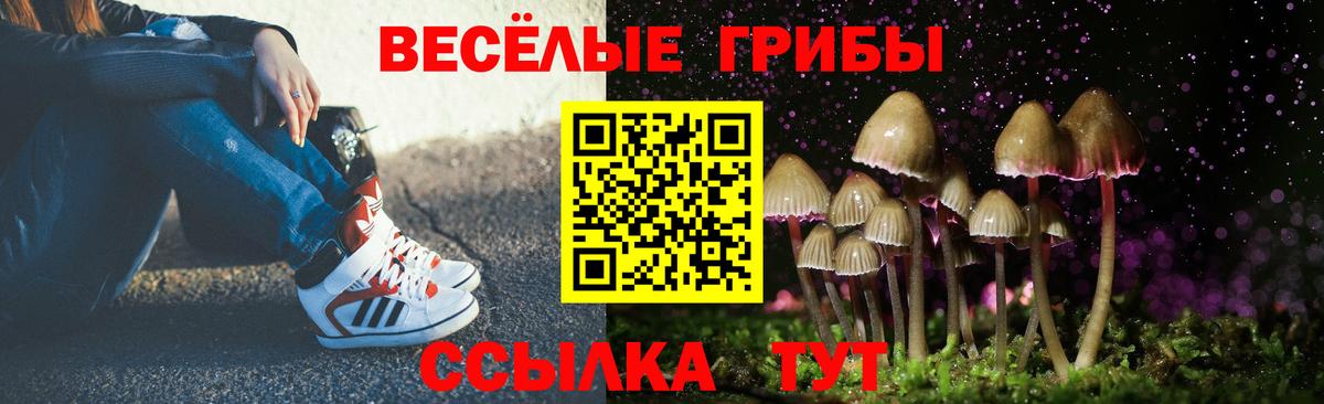 Псилоцибиновые грибы Cubensis  Псилоцибиновые грибы Cubensis  Нурлат  Вход с VPN 